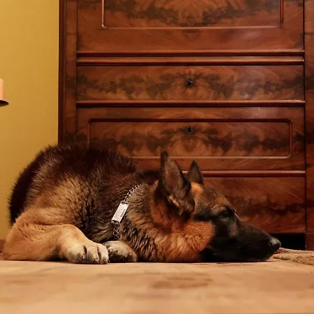 Ankommen Und Wohlfuehlen! 124 Qm In Altstadt-naehe *