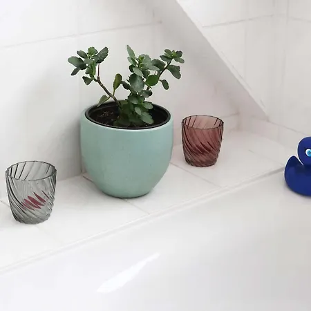 Apartman Ankommen Und Wohlfuehlen! 124 Qm In Altstadt-naehe Drezda