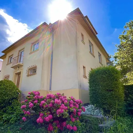 Ankommen Und Wohlfuehlen! 124 Qm In Altstadt-naehe Διαμέρισμα Δρέσδη