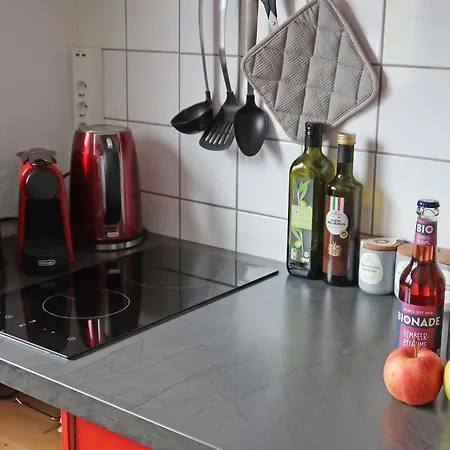 Ankommen Und Wohlfuehlen! 124 Qm In Altstadt-naehe * Dresde