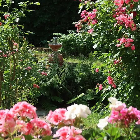 Apartman Ankommen Und Wohlfuehlen! 124 Qm In Altstadt-naehe Drezda