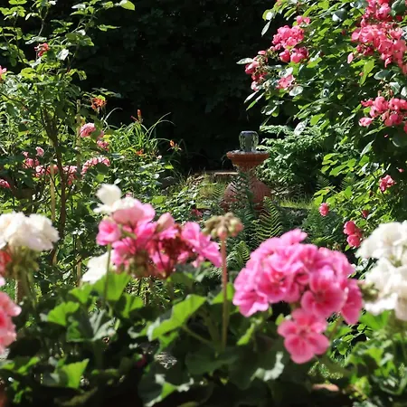 Ankommen Und Wohlfuehlen! 124 Qm In Altstadt-naehe * Drezda