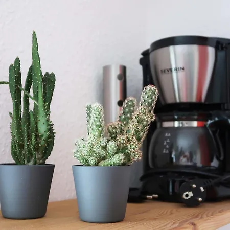 Ankommen Und Wohlfuehlen! 124 Qm In Altstadt-naehe