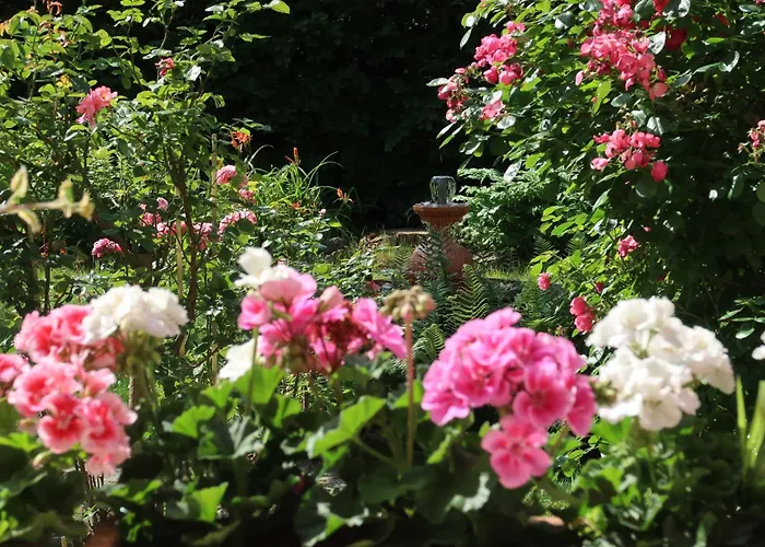 Ankommen Und Wohlfuehlen! 124 Qm In Altstadt-naehe * Dresden