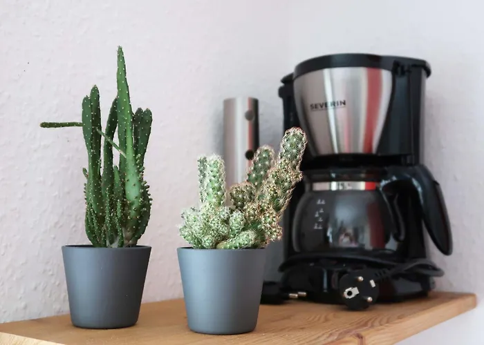 Ankommen Und Wohlfuehlen! 124 Qm In Altstadt-naehe