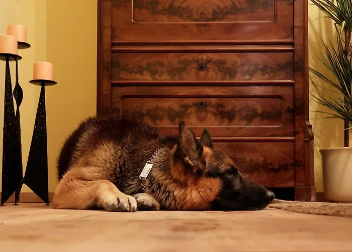 Ankommen Und Wohlfuehlen! 124 Qm In Altstadt-naehe *